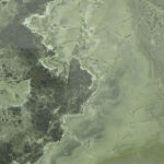 Bamboo Green stone sample