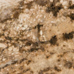 Lapidus stone sample