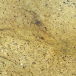 Typhoon Green stone sample