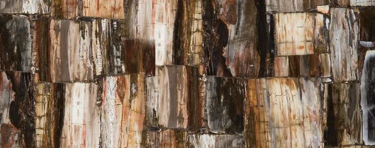 Caesarstone surface