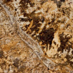 Golden Beach stone sample