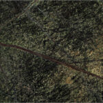 Rain Forest Green stone sample