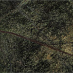 Rain Forest Green stone sample