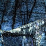 13701160_1326906247339532_6160785254289808134_o