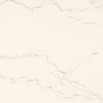 13708226_1326906710672819_6635265457680630148_o