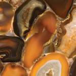 13710422_1326906614006162_3151136208942511489_o