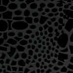 13719497_1326906114006212_7936772333559880470_o