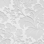 13730972_1326906284006195_7028874410732713024_o