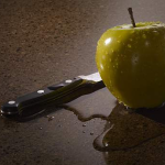 13599773_1312935865403237_8093536165258185480_n